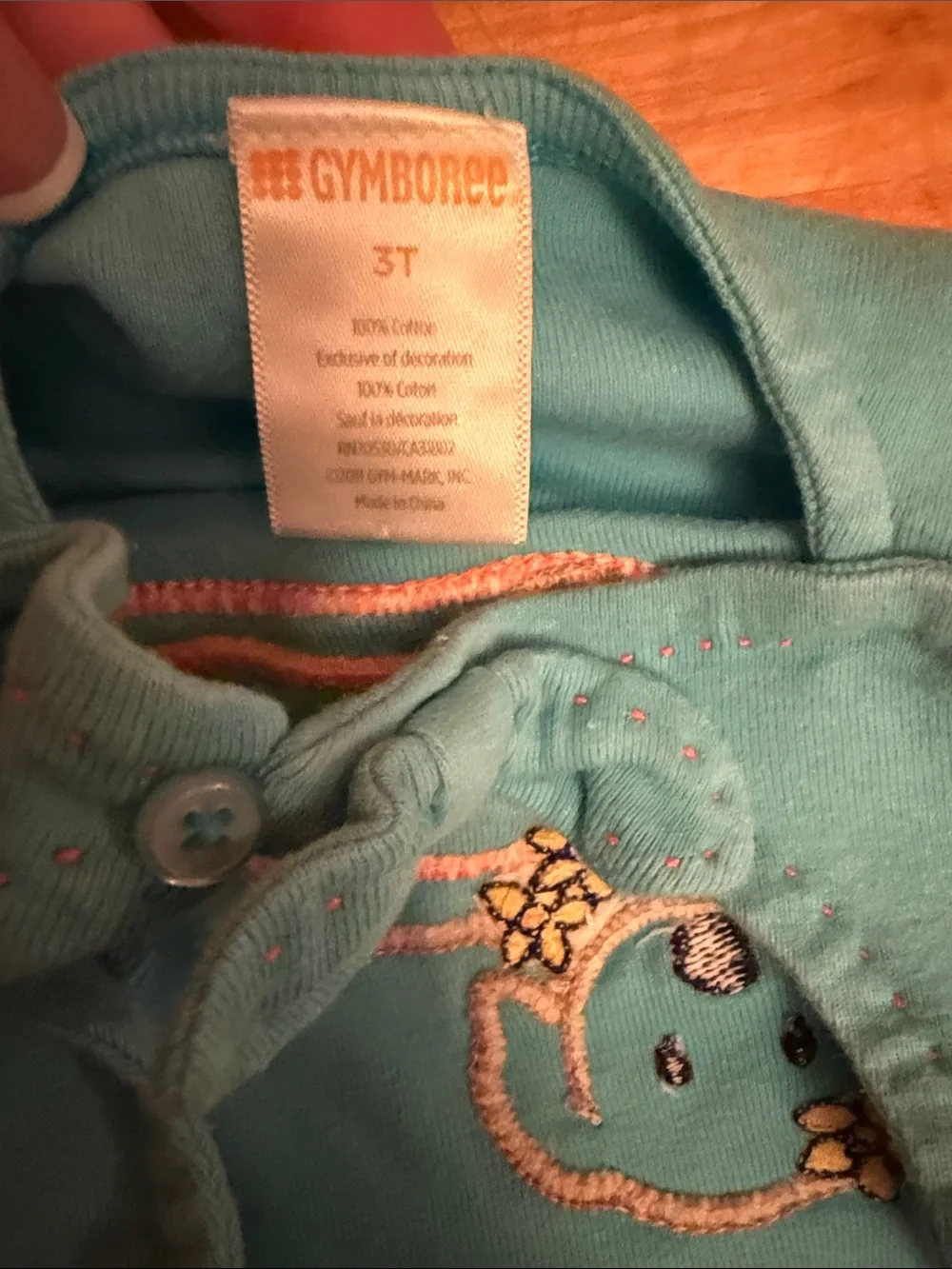 Gymboree Girls Teal and Orange Summer Matching Sets